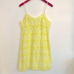 Crown & Ivy Yellow and White Eyelet Dress Size 14